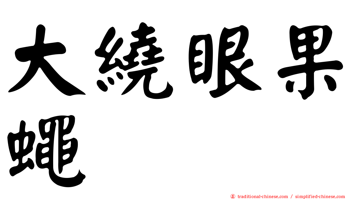 大繞眼果蠅
