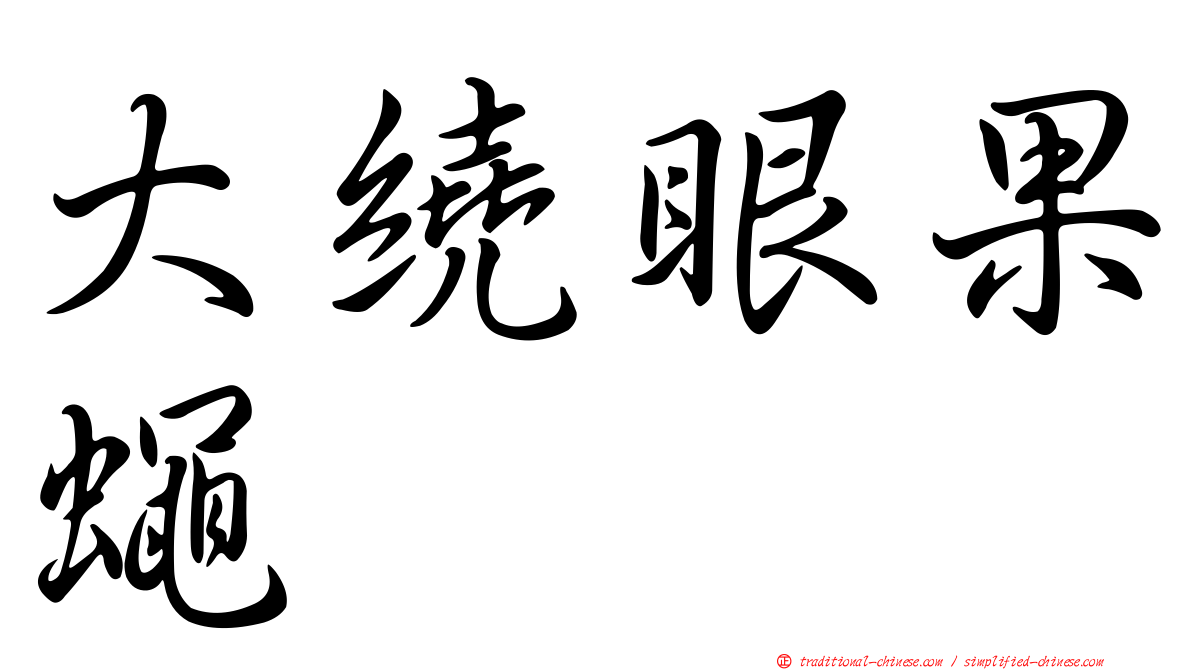 大繞眼果蠅