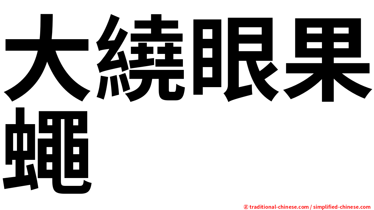 大繞眼果蠅