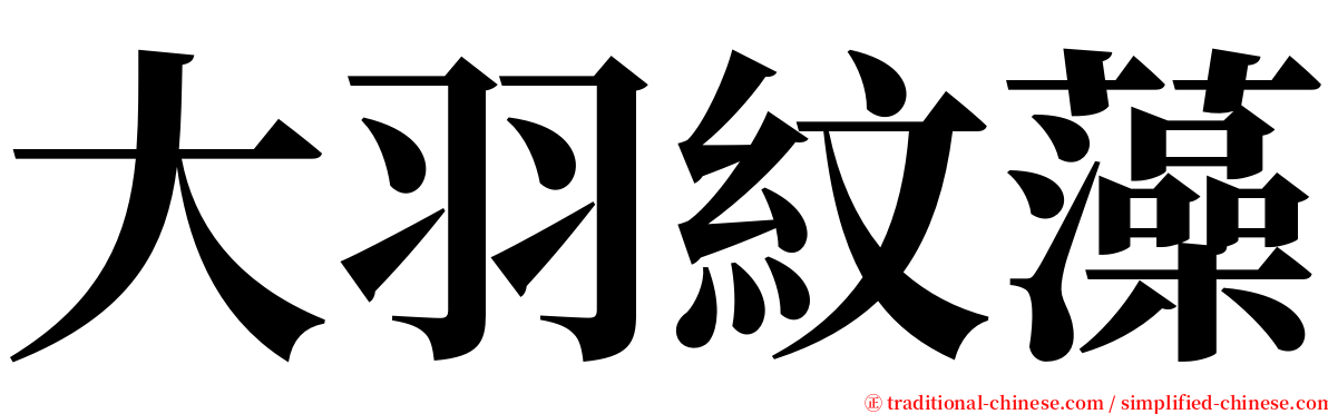 大羽紋藻 serif font
