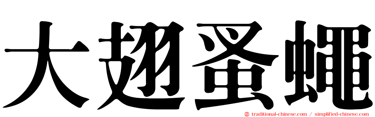大翅蚤蠅
