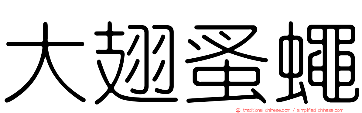 大翅蚤蠅