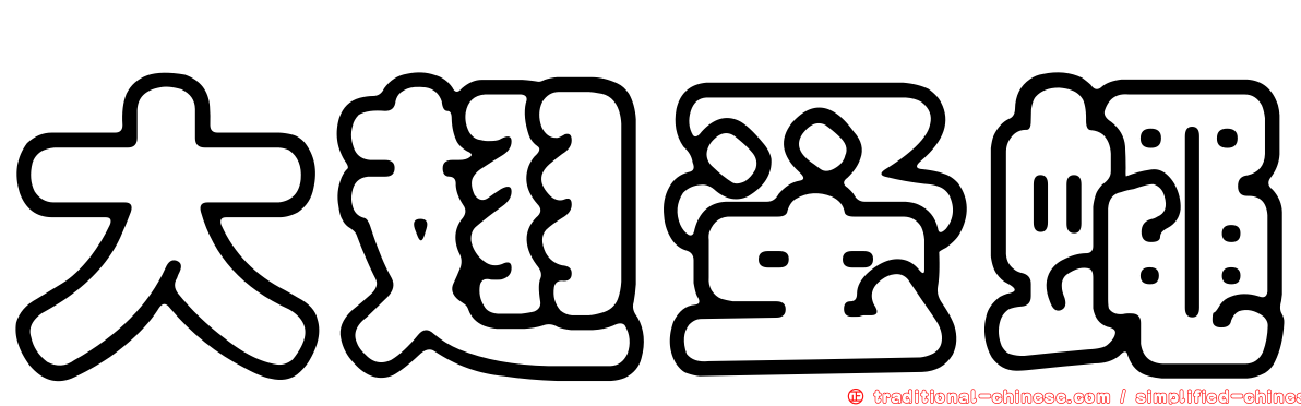 大翅蚤蠅