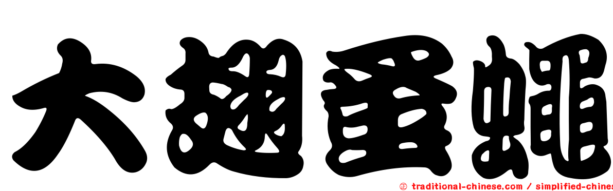 大翅蚤蠅