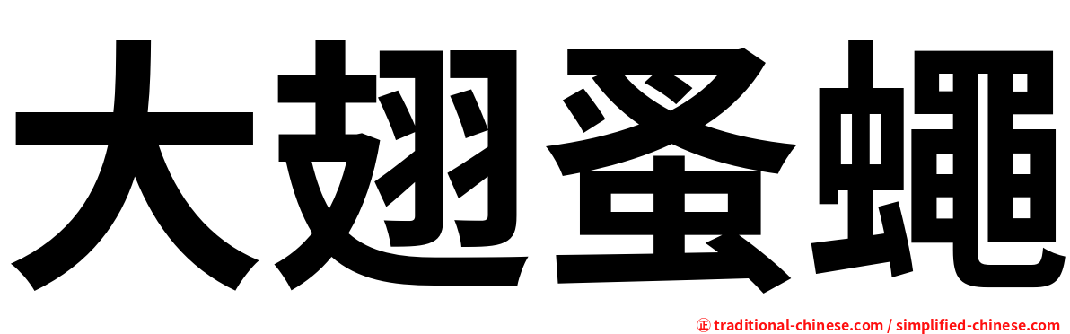 大翅蚤蠅