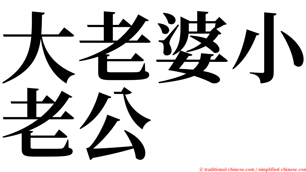 大老婆小老公 serif font