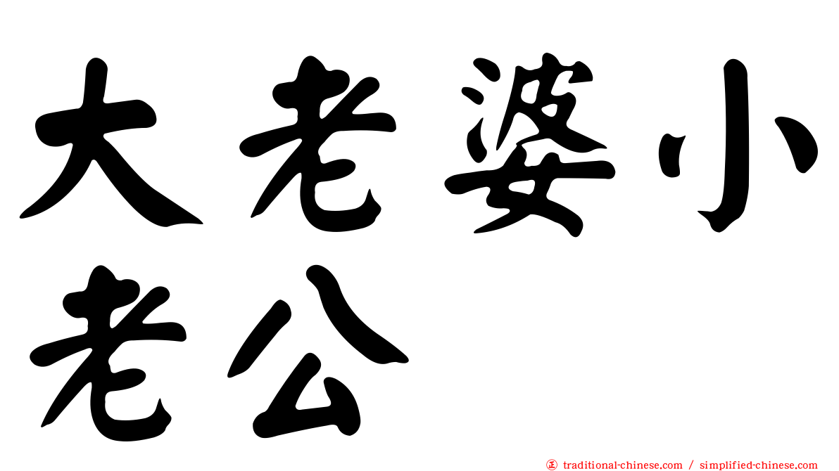 大老婆小老公