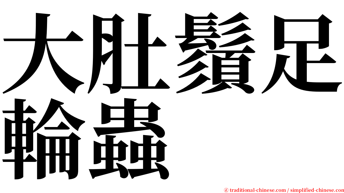 大肚鬚足輪蟲 serif font