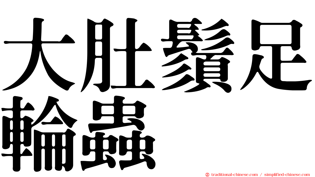 大肚鬚足輪蟲