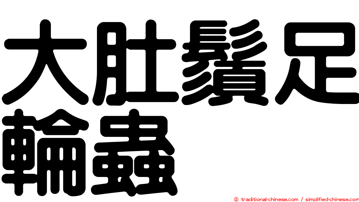 大肚鬚足輪蟲
