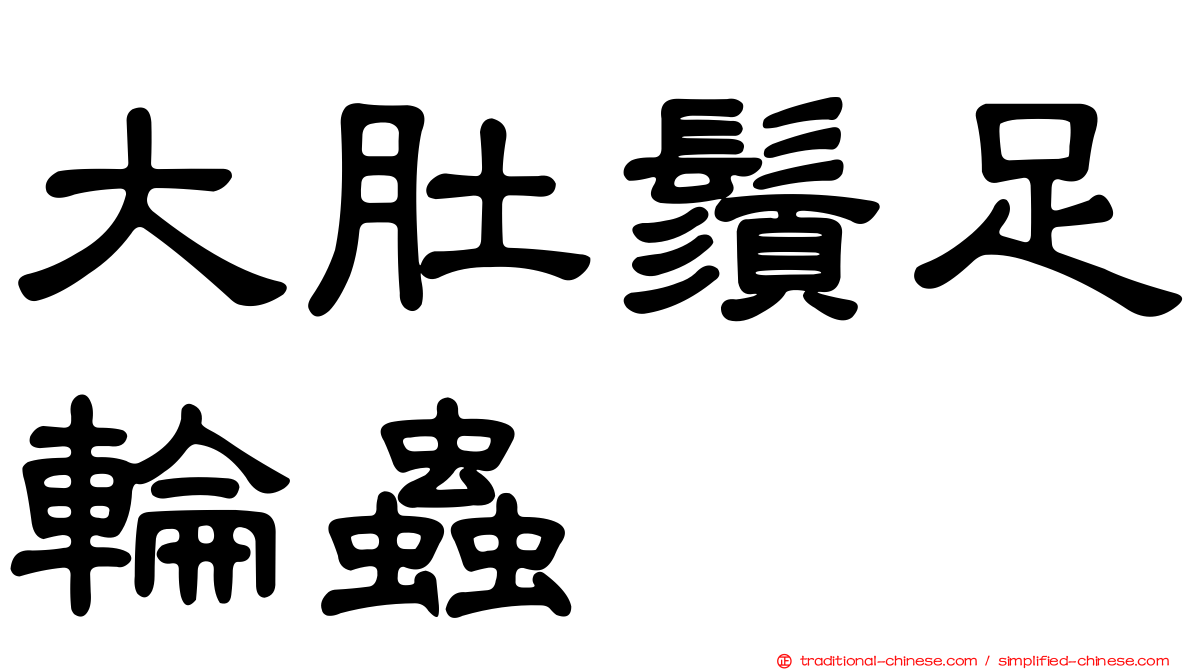 大肚鬚足輪蟲