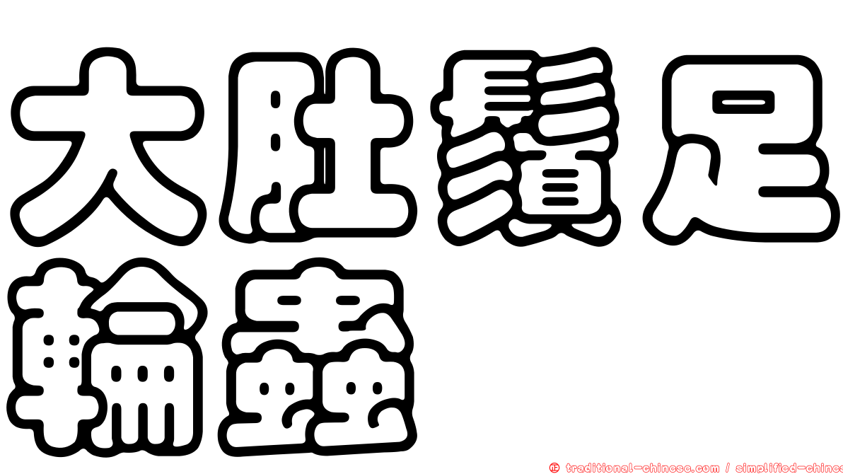 大肚鬚足輪蟲