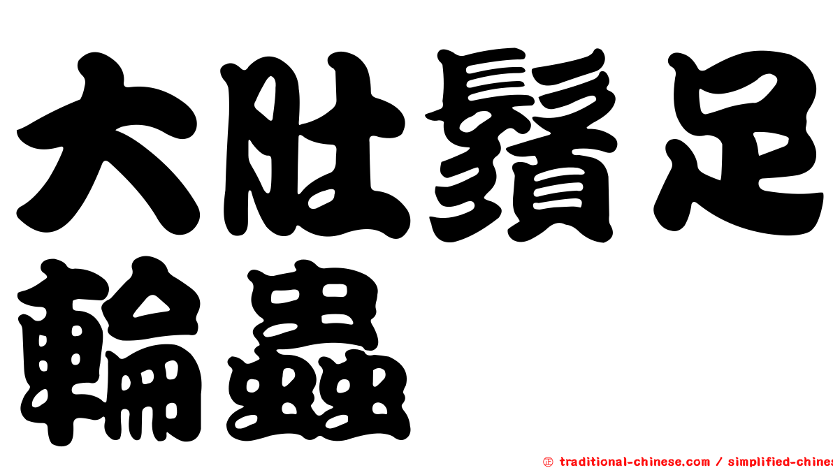 大肚鬚足輪蟲