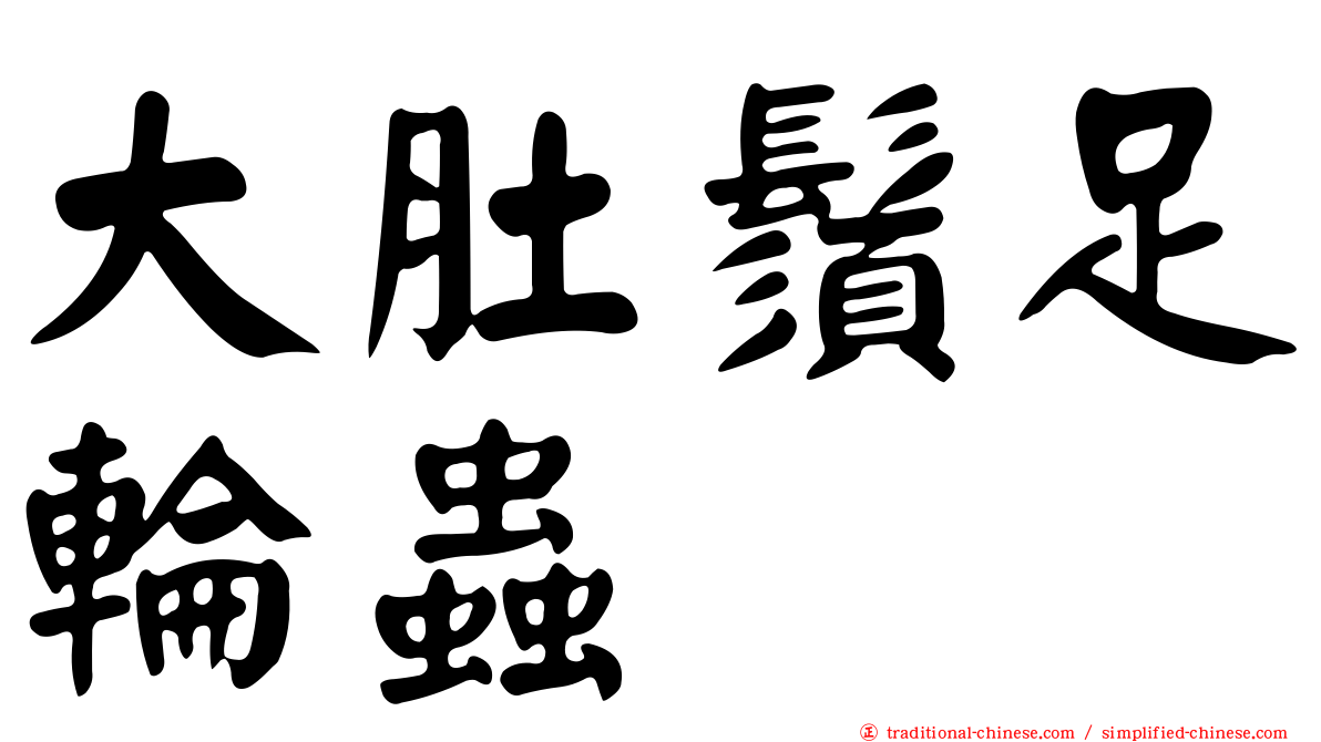 大肚鬚足輪蟲