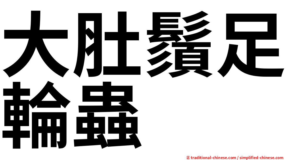 大肚鬚足輪蟲