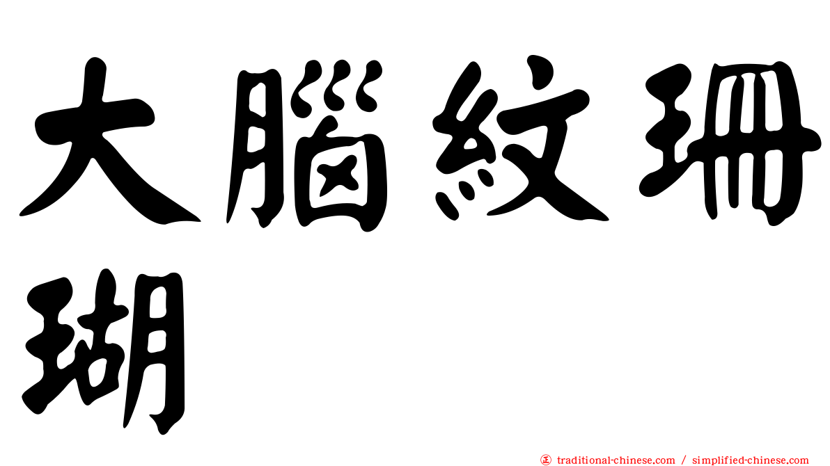 大腦紋珊瑚