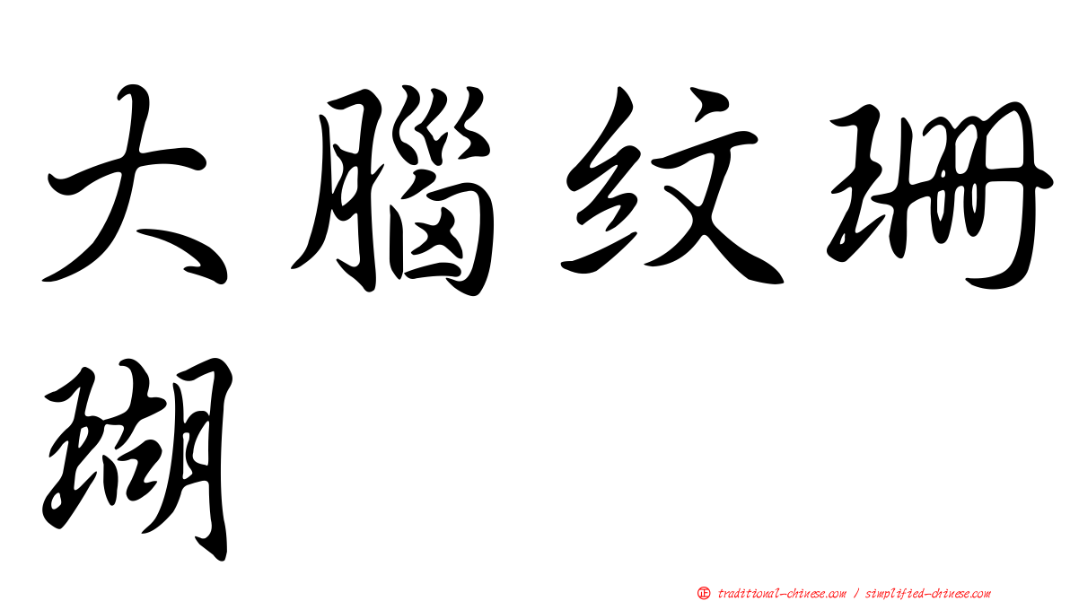 大腦紋珊瑚