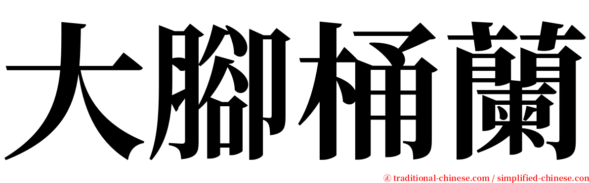 大腳桶蘭 serif font