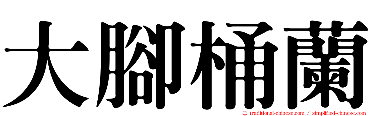 大腳桶蘭