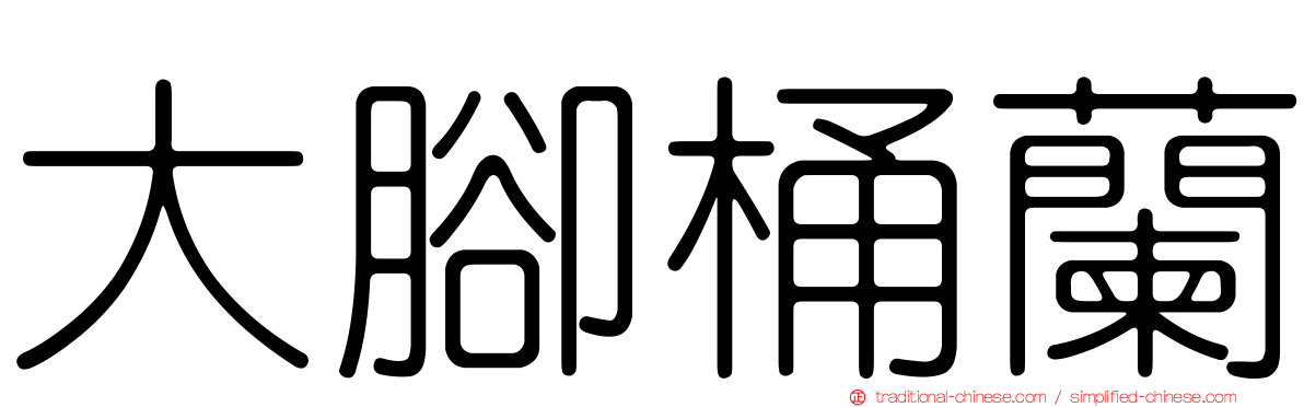 大腳桶蘭