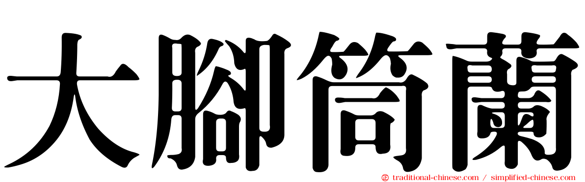 大腳筒蘭