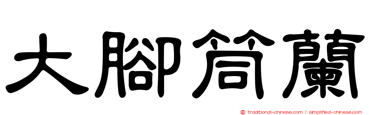 大腳筒蘭
