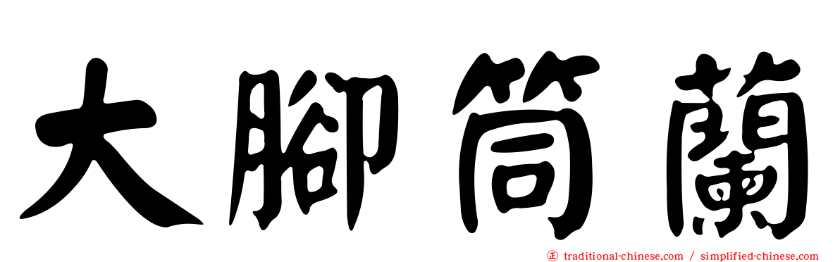 大腳筒蘭