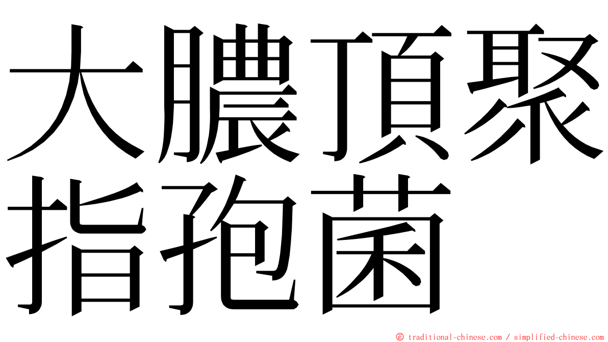 大膿頂聚指孢菌 ming font