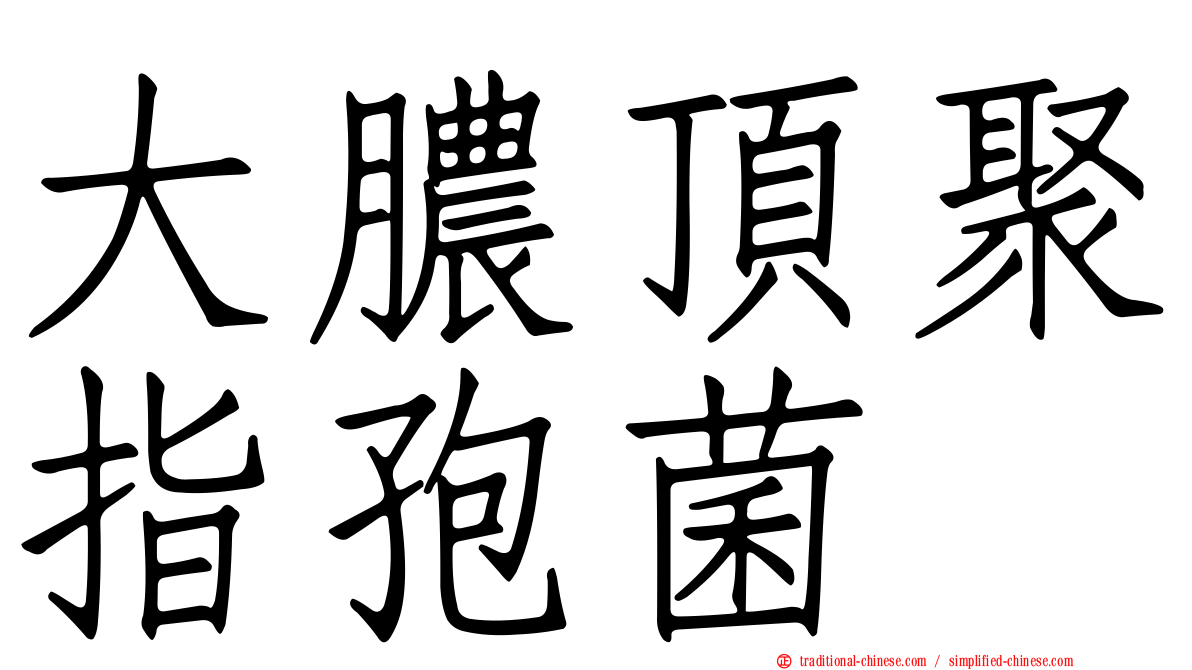 大膿頂聚指孢菌