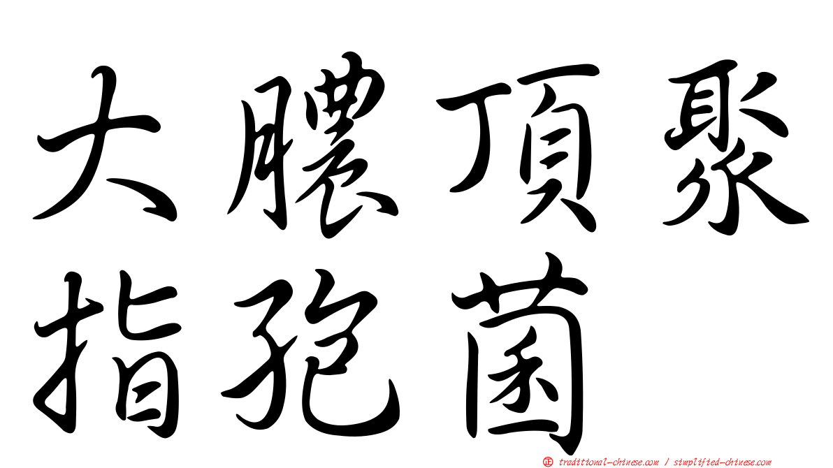 大膿頂聚指孢菌