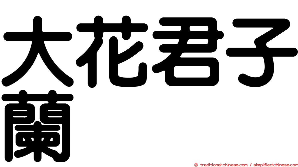 大花君子蘭