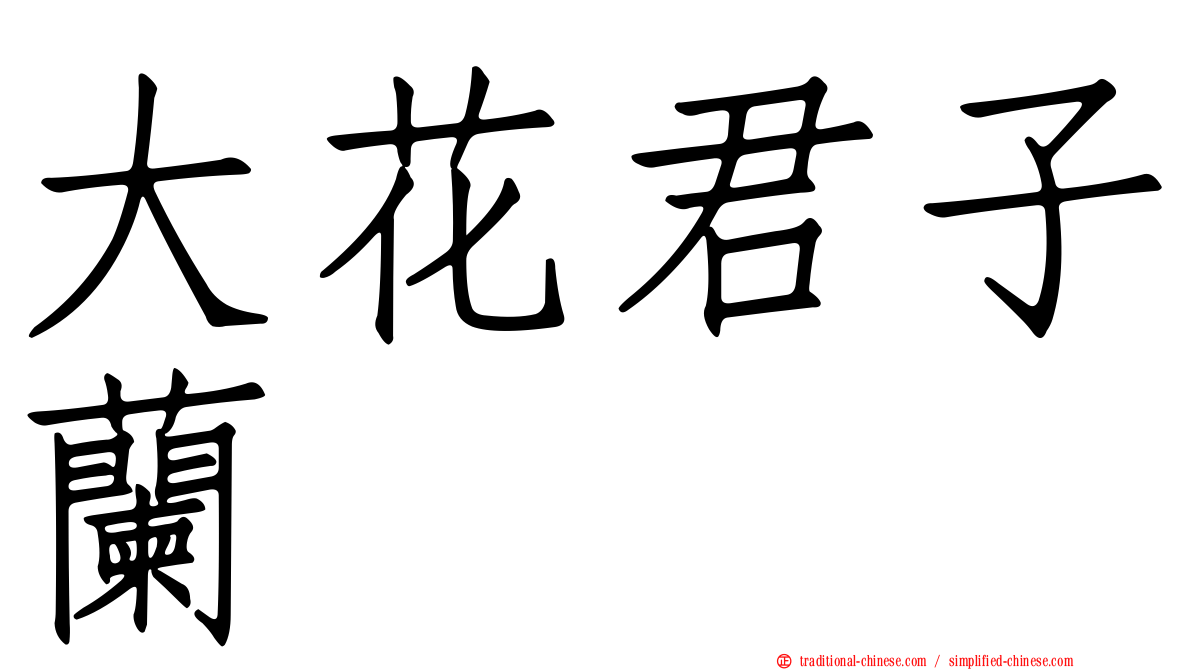 大花君子蘭