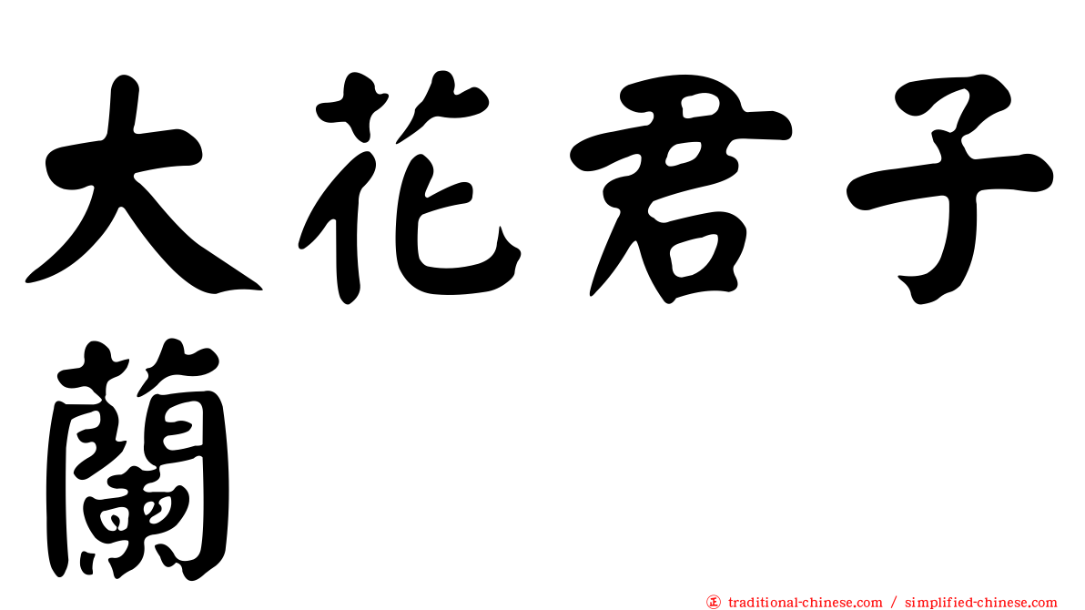 大花君子蘭