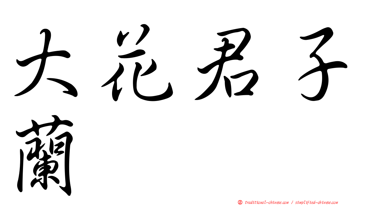大花君子蘭