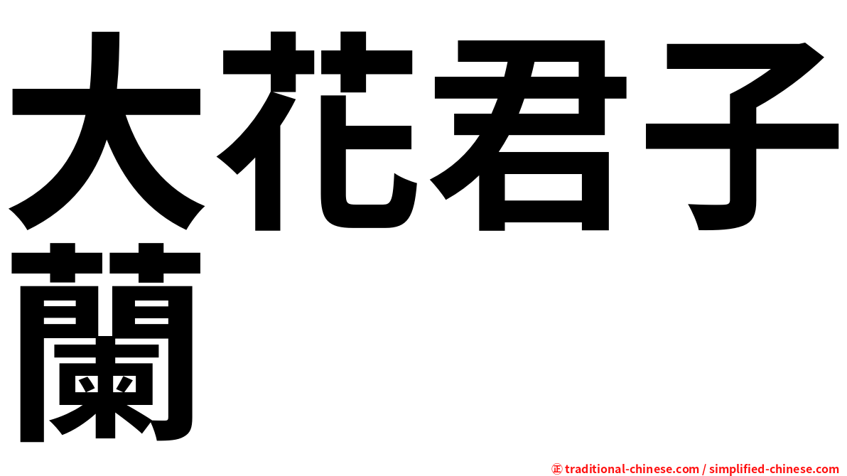大花君子蘭