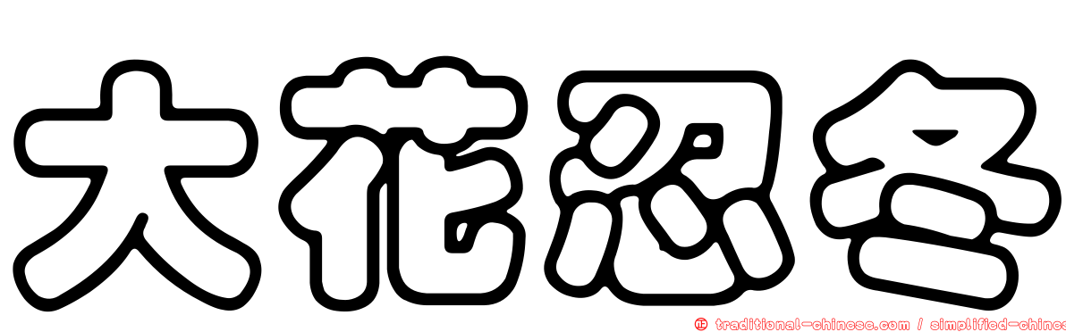大花忍冬