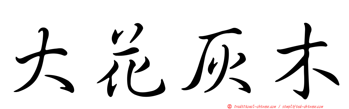 大花灰木