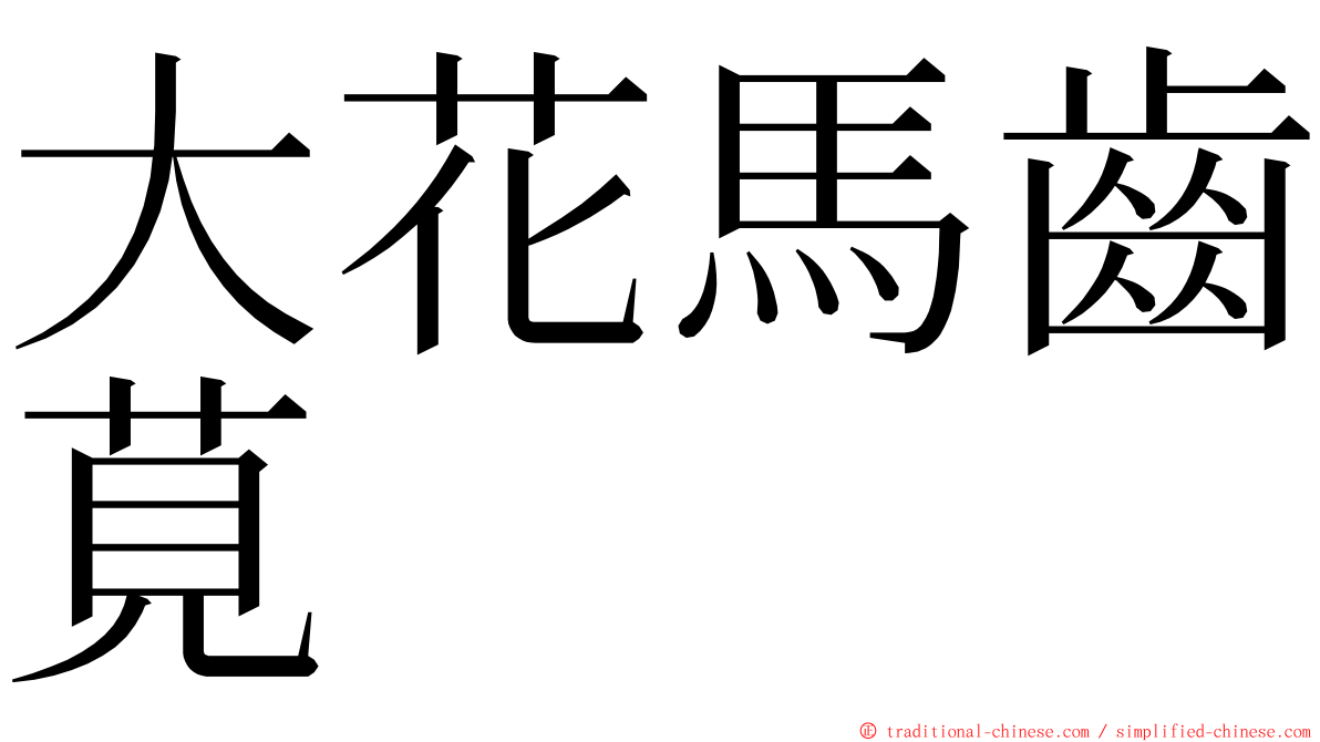 大花馬齒莧 ming font