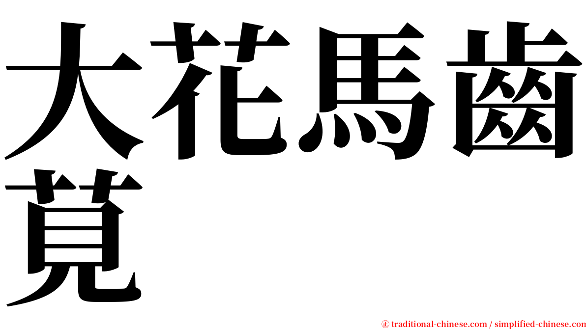 大花馬齒莧 serif font