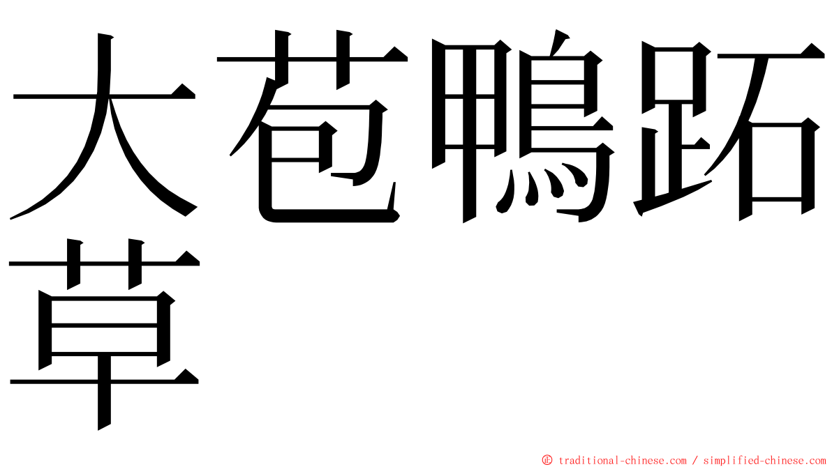 大苞鴨跖草 ming font