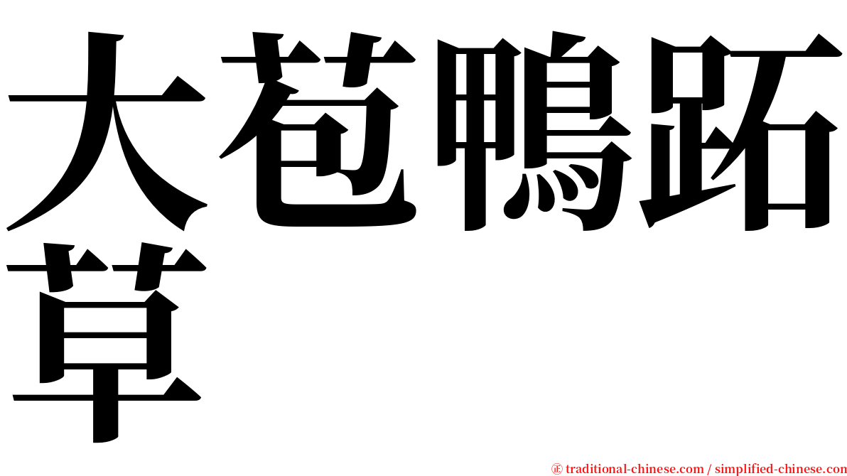 大苞鴨跖草 serif font