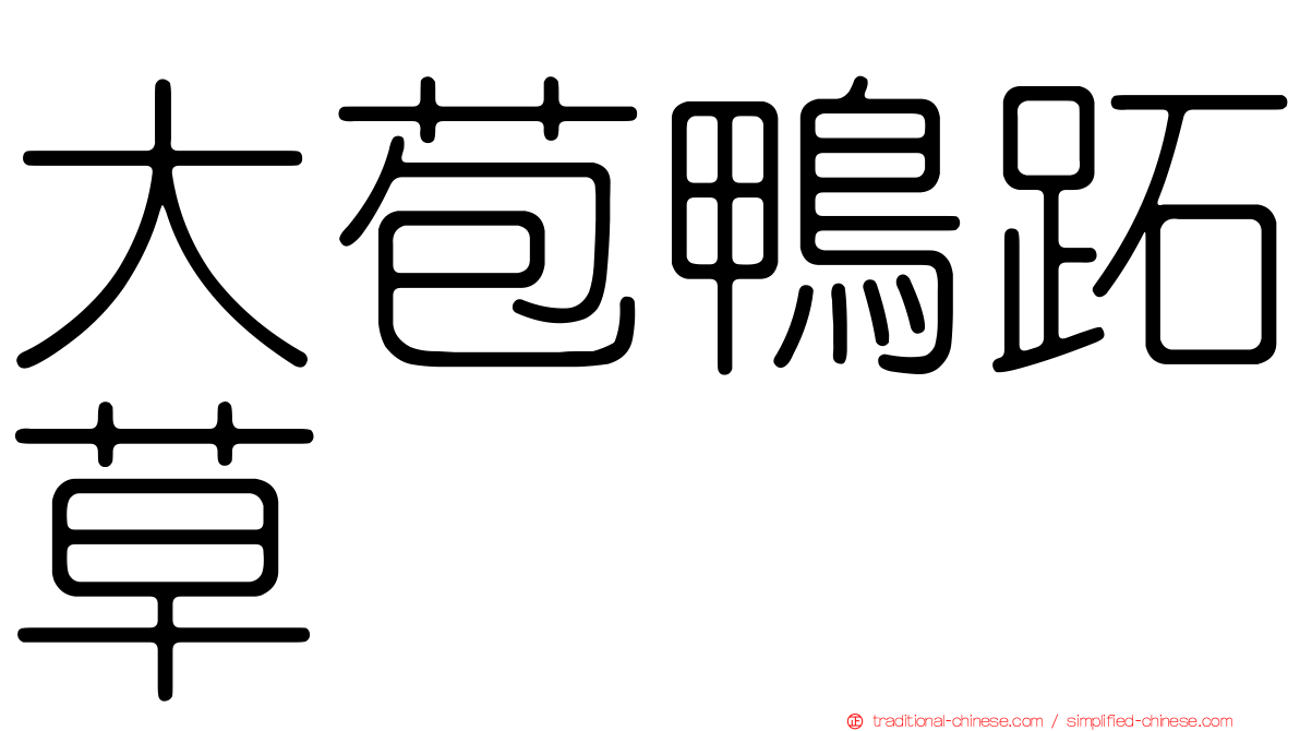 大苞鴨跖草