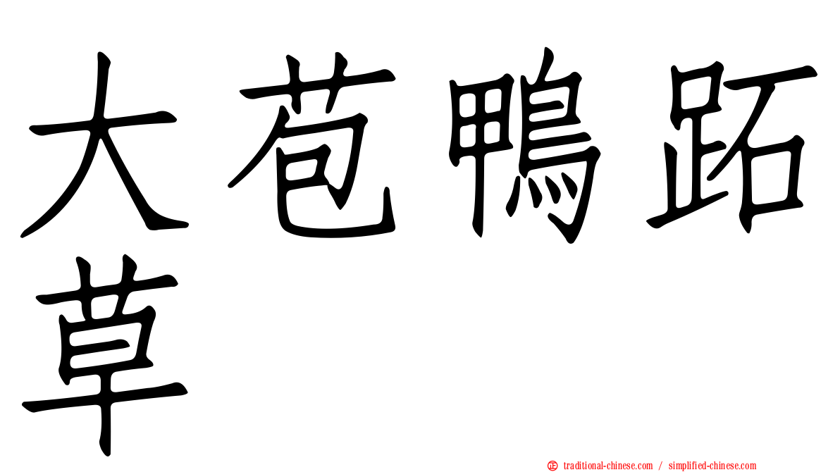 大苞鴨跖草