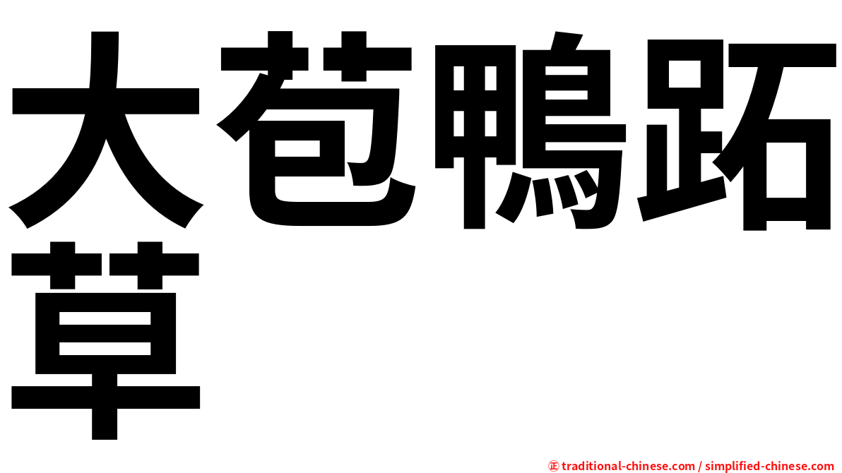 大苞鴨跖草