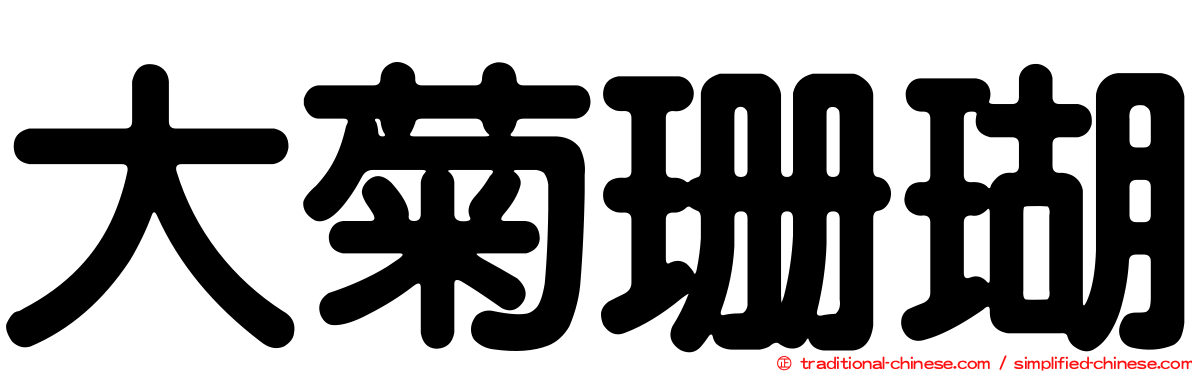 大菊珊瑚