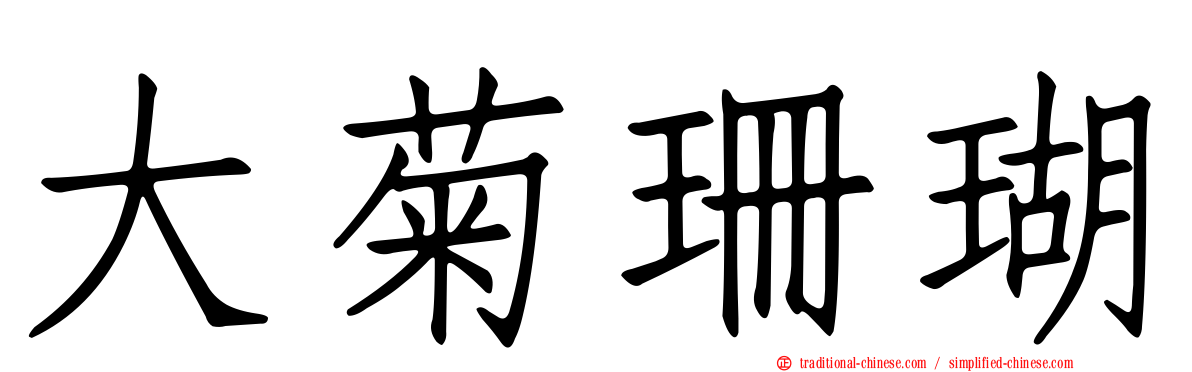 大菊珊瑚