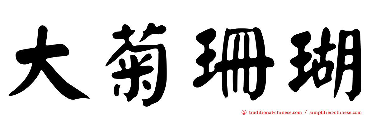 大菊珊瑚