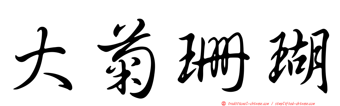 大菊珊瑚