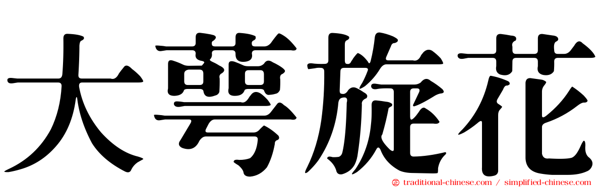 大萼旋花