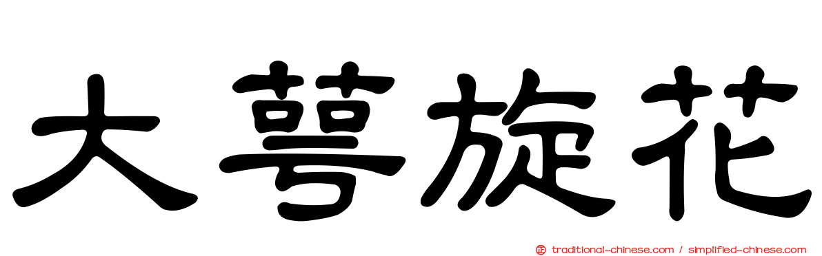 大萼旋花
